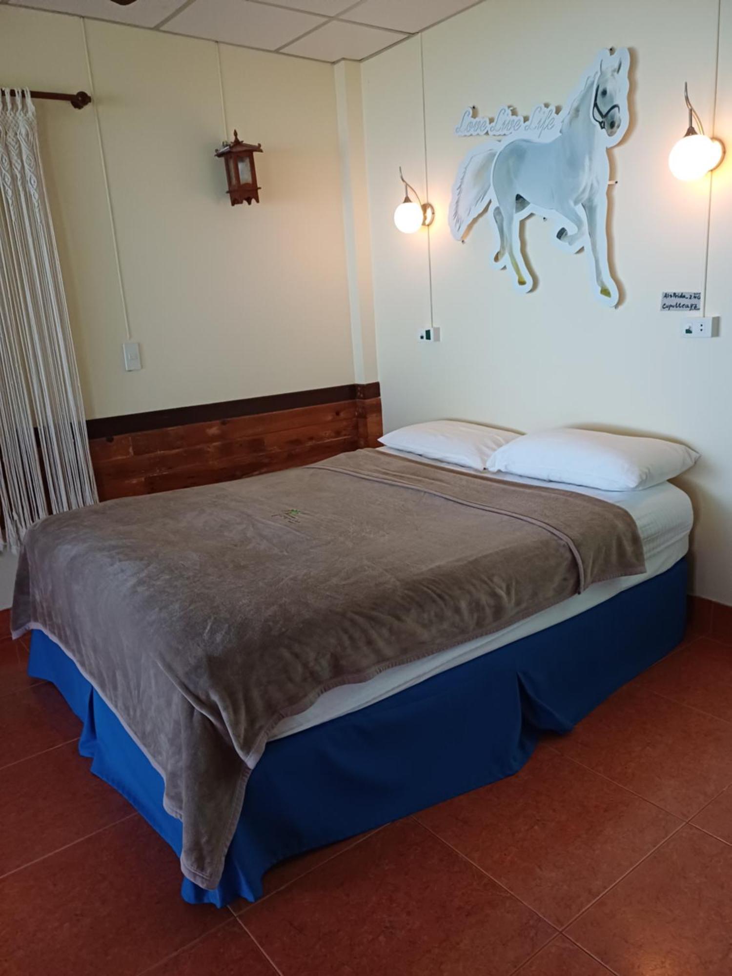 Tropicana Khophagan Resort Hotel Тонгсала Номер фото